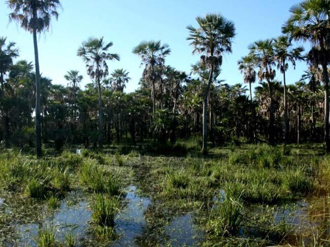 humedales-chaco-22-02-28-01