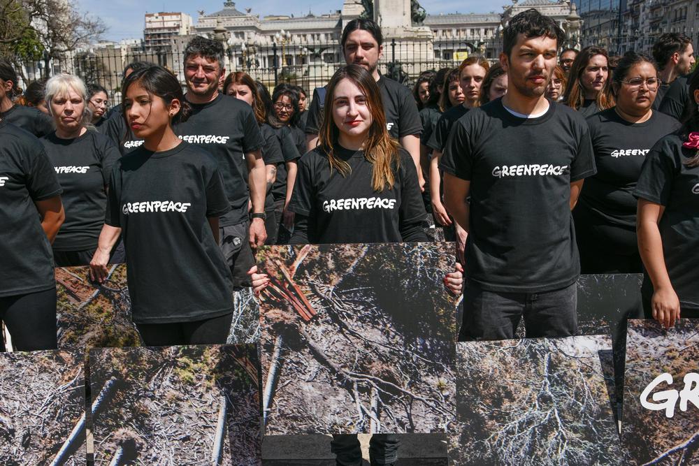 consulta-popular-greenpeace-argentina_1
