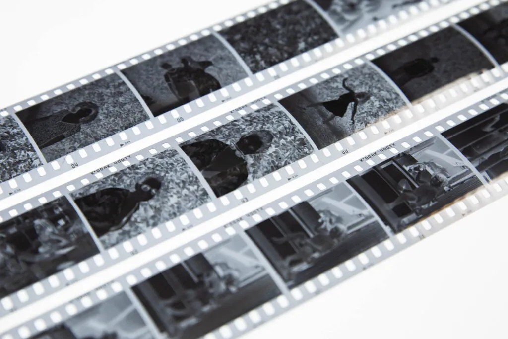 Festival analógico_1