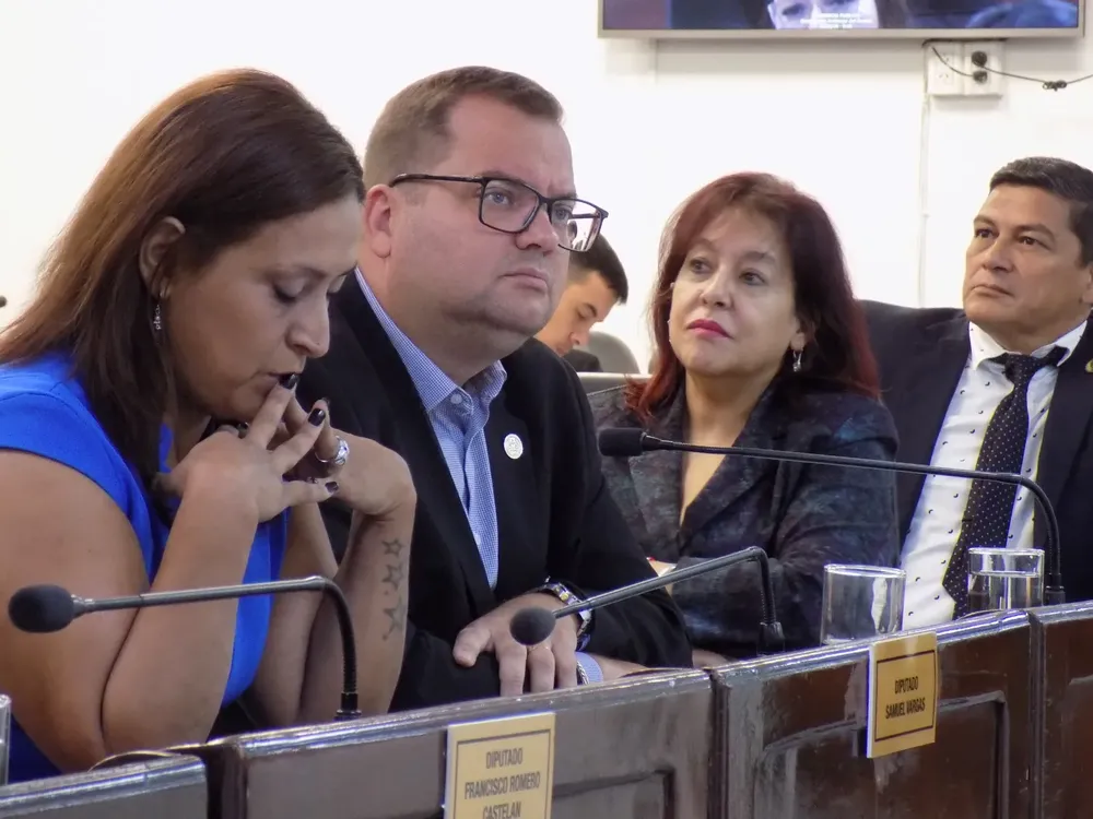 consulta-publica-defensoria-del-pueblo-del-chaco_1