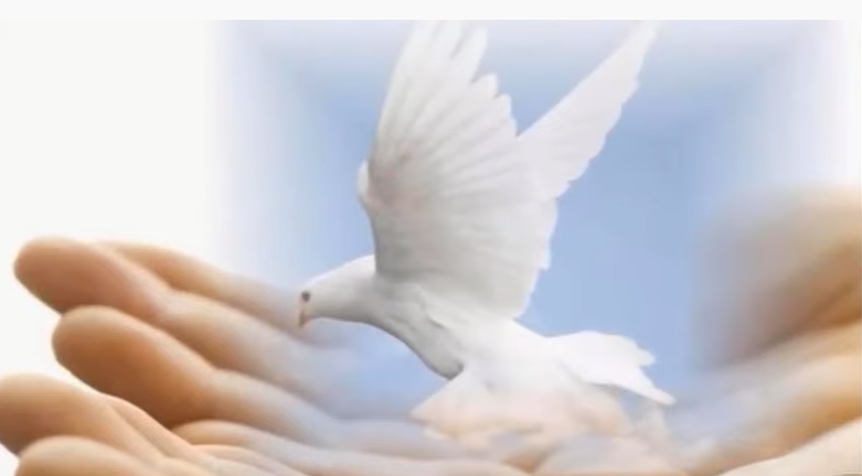 pentecostes-01
