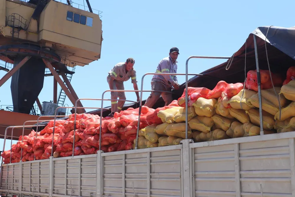 exportacion-de-zapallo-anco-coquena
