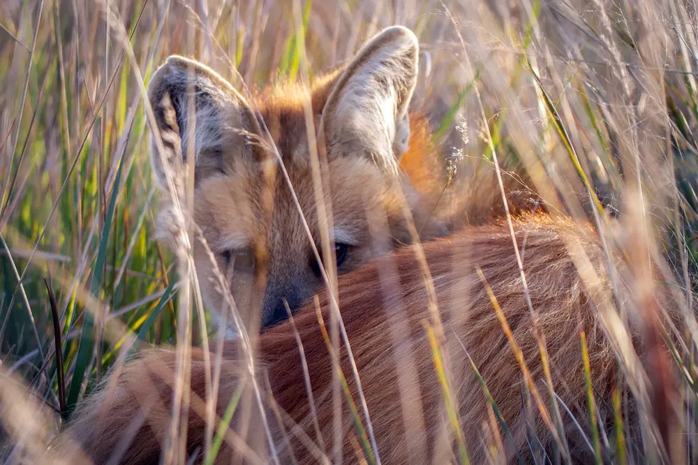 IMG-20241018-WA0117(1)