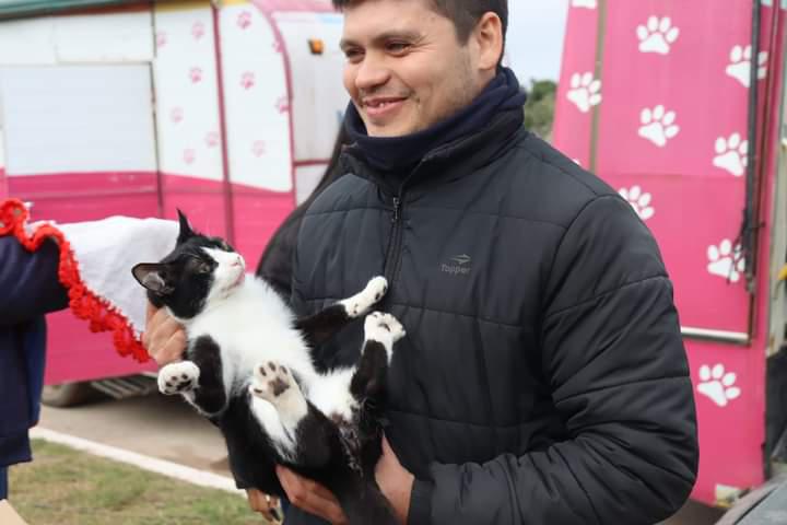 castracion-de-perros-y-gatos_2