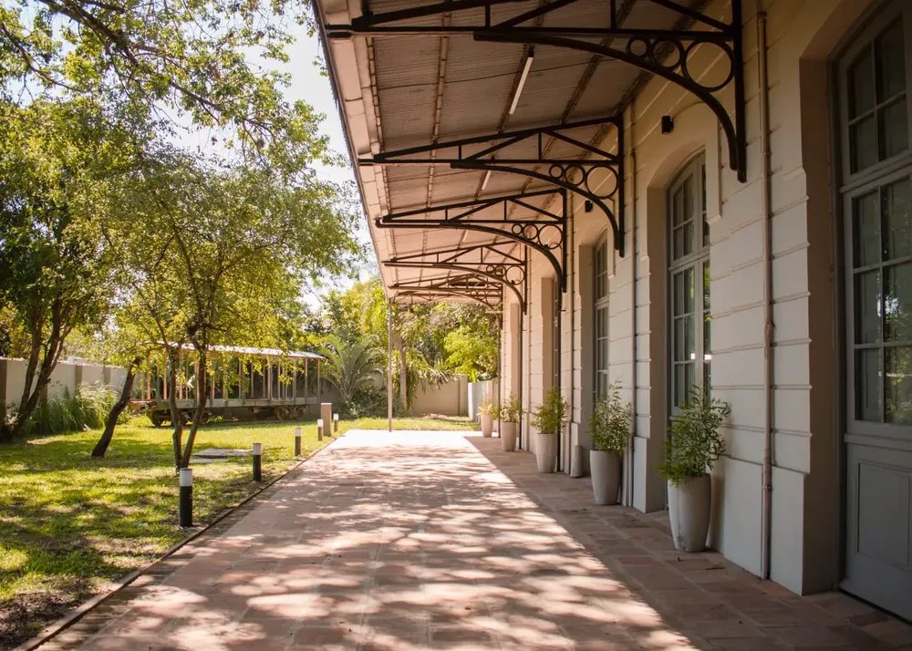 Museo-Schulz - aniversario