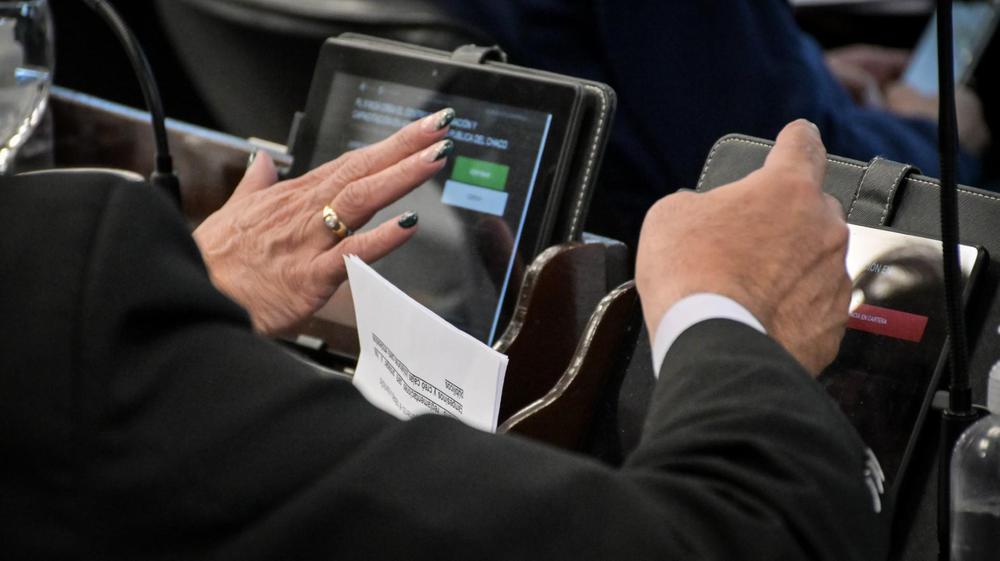 prorrogan-proyecto-de-Emergencia-Economica-2024-07-4