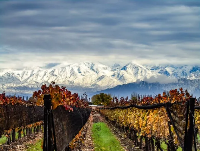Mendoza-1