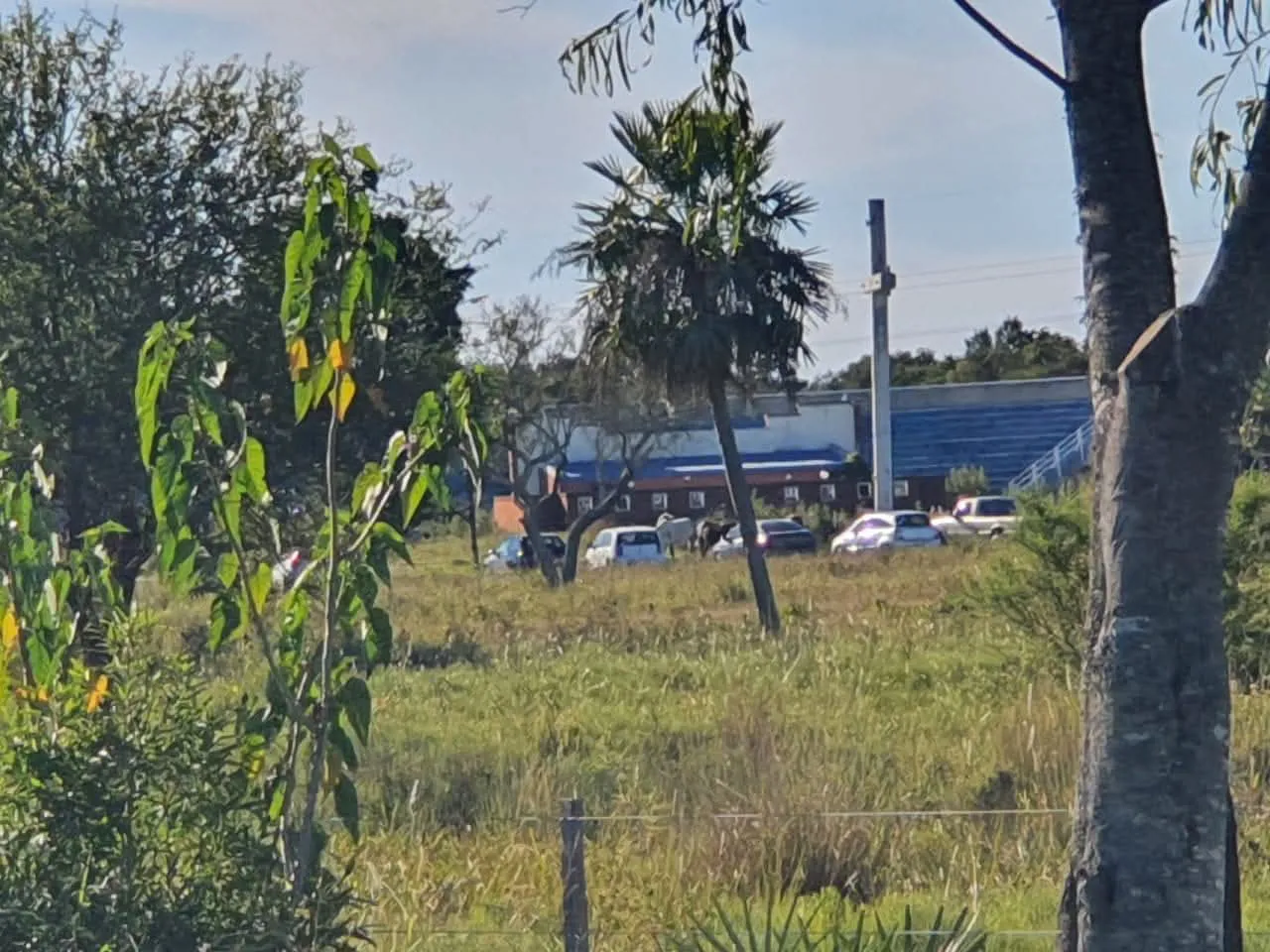 autos-abandonados-en-el-parque-caraguata-provincia-del-chaco_1