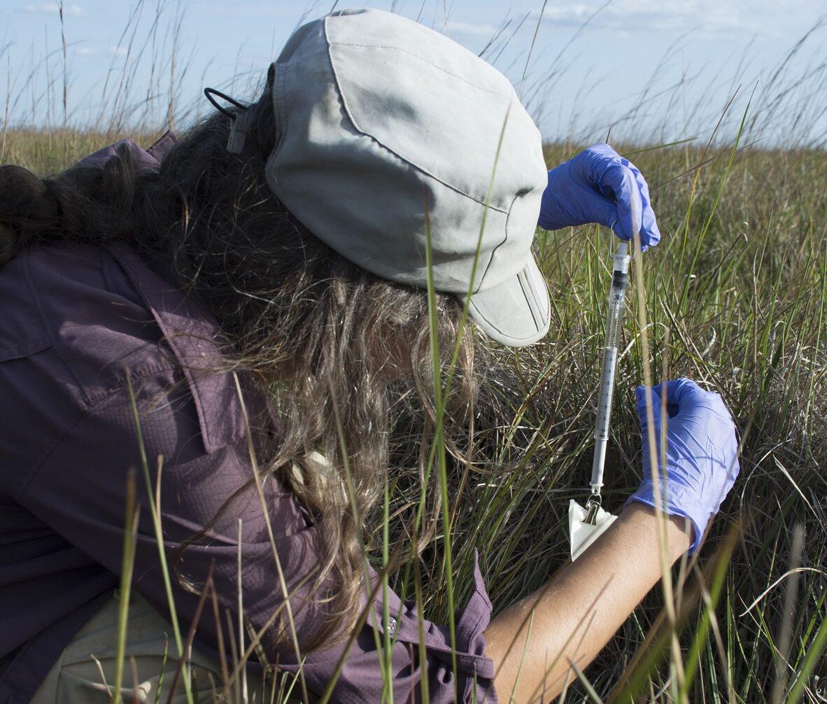 Milagros-Jefferies_medicion-de-huevos-CECOAL_1