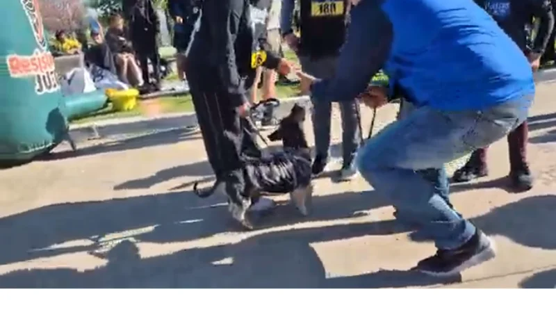 maraton-solidaria-animalista-chaco_1