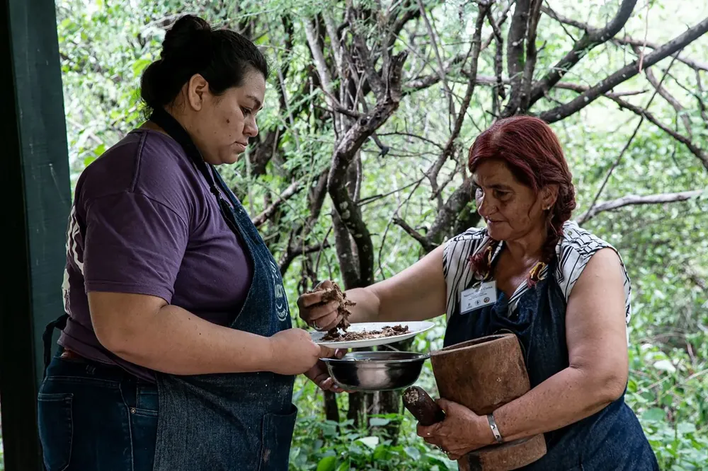 chaucha-de-algarrobo-1