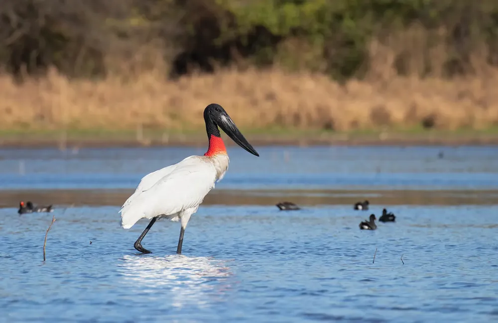 turismo-de-naturaleza_2