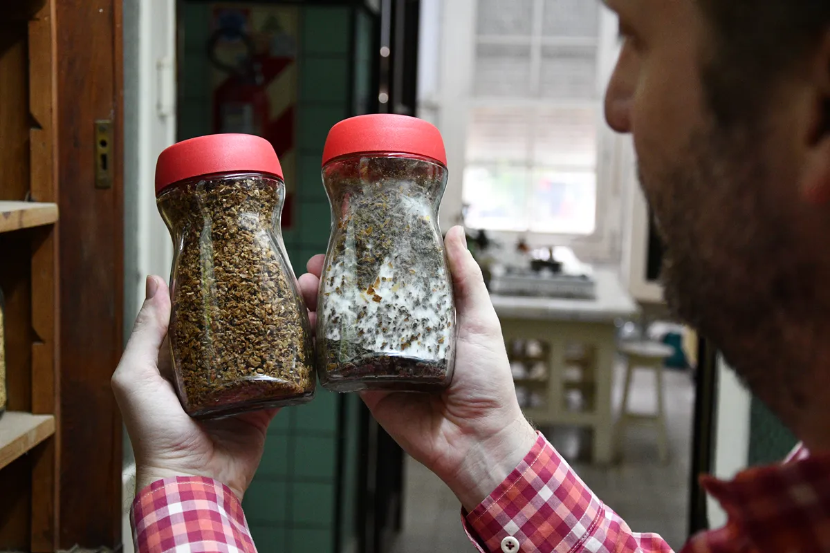 alimentos-para-peces_1