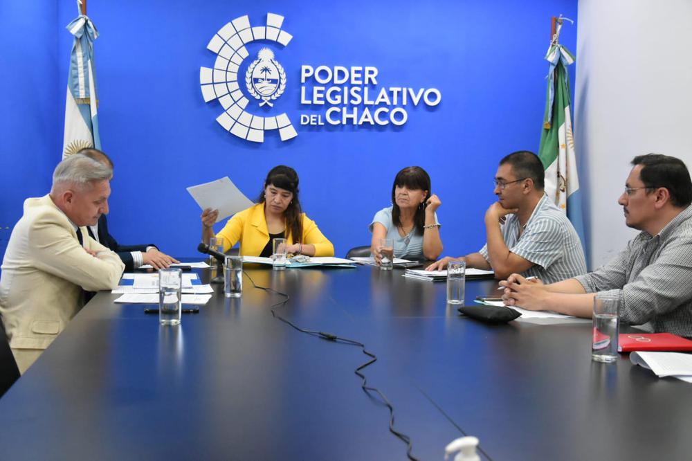 defensoria-del-pueblo-y-legisladores-chaquenos