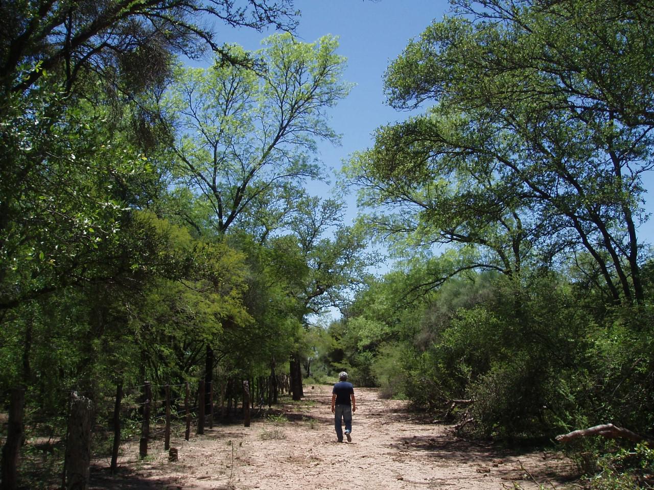 _Encuentro -sobre -Gestión -Forestal