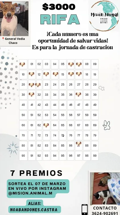 rifa-solidaria-de-Mision-Animal-para-castraciones-01