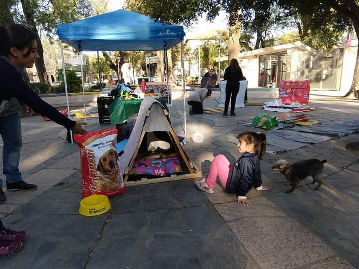 mision-animal-resistencia-chaco-01