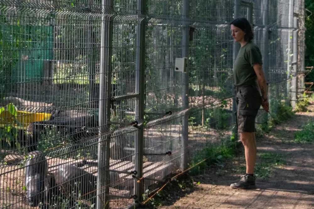 nutrias-gigantes-en-precintos