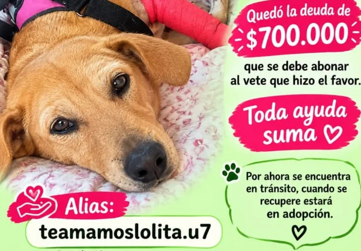 ayuda-para-lola