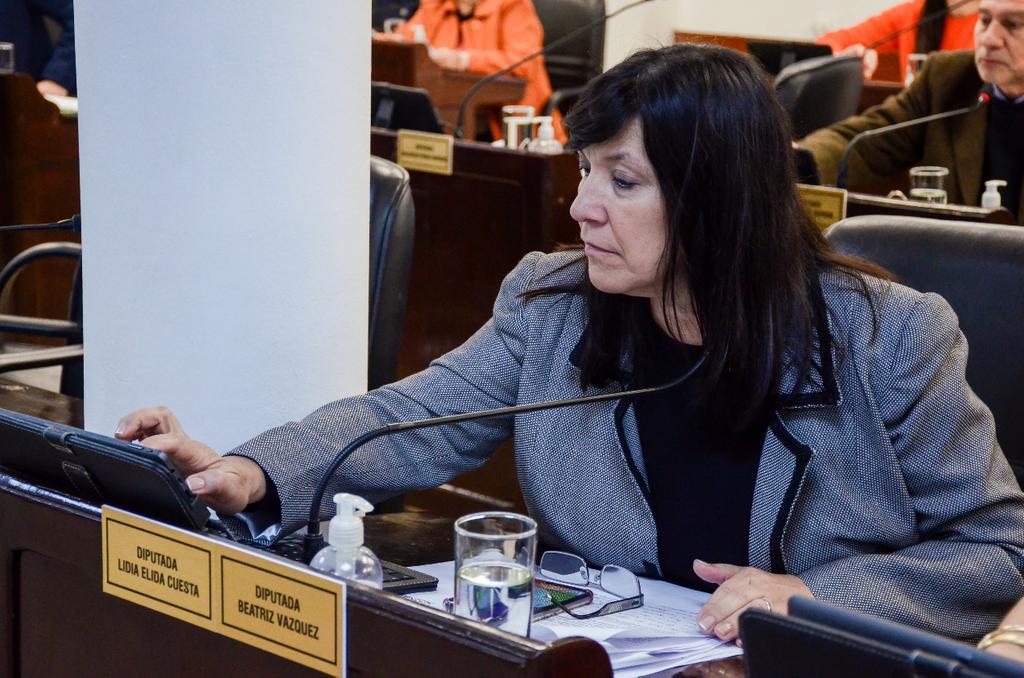 Elida - Cuesta-diputada-provincial