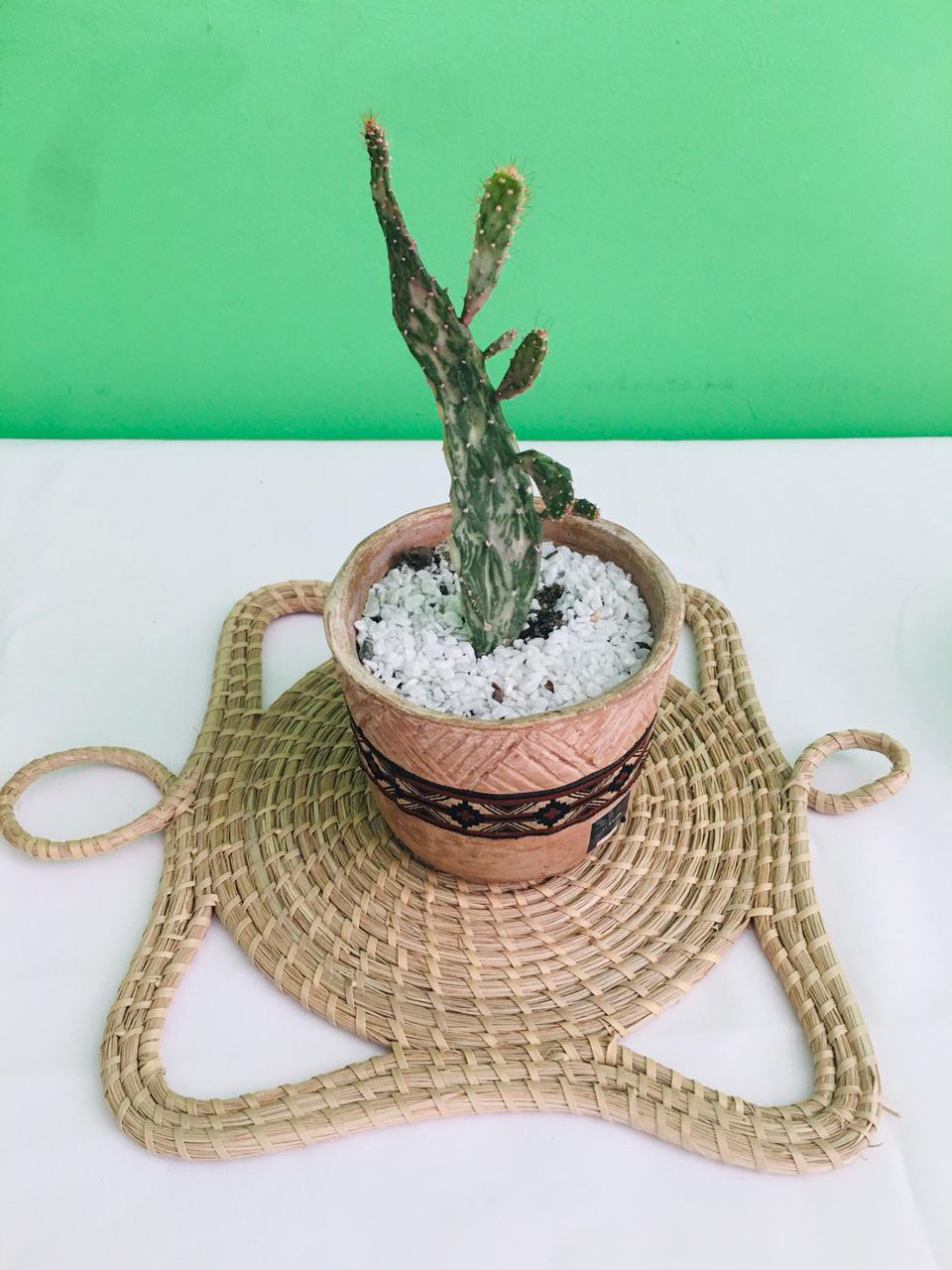 carpeta-hecha-con-palma 2021-01-21