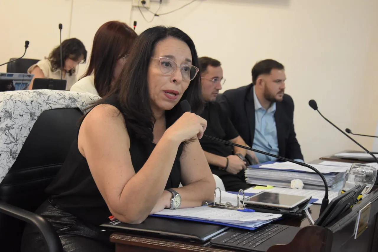 diputada-analia-flores_1