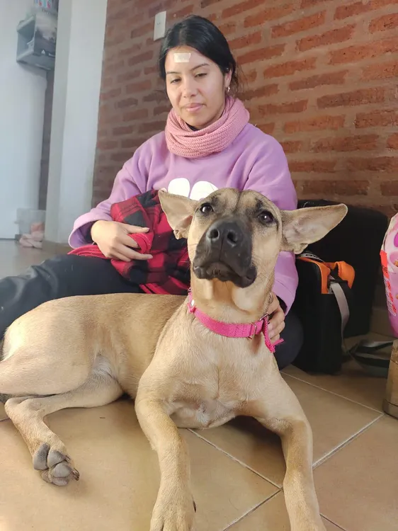 Mision-Animal-Castraciones-24-09-09-02