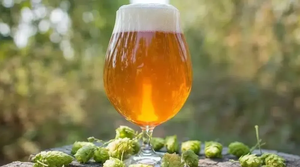 cerveza-IPA
