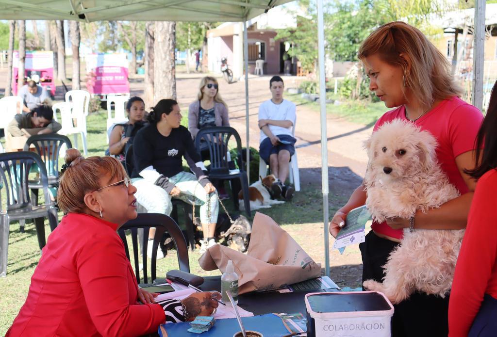 castracion-gratuita-de-mascotas-01