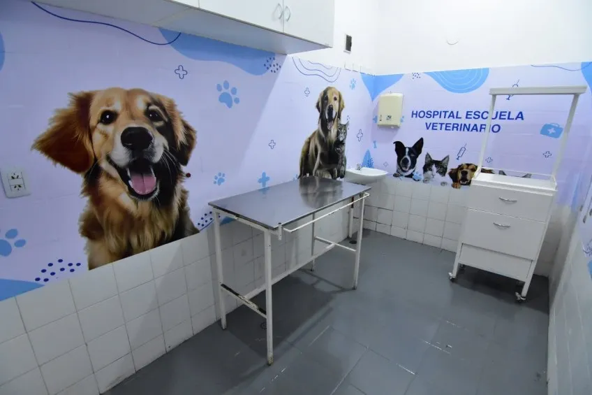 banco-de-sangre-animal-en-corrientes_1