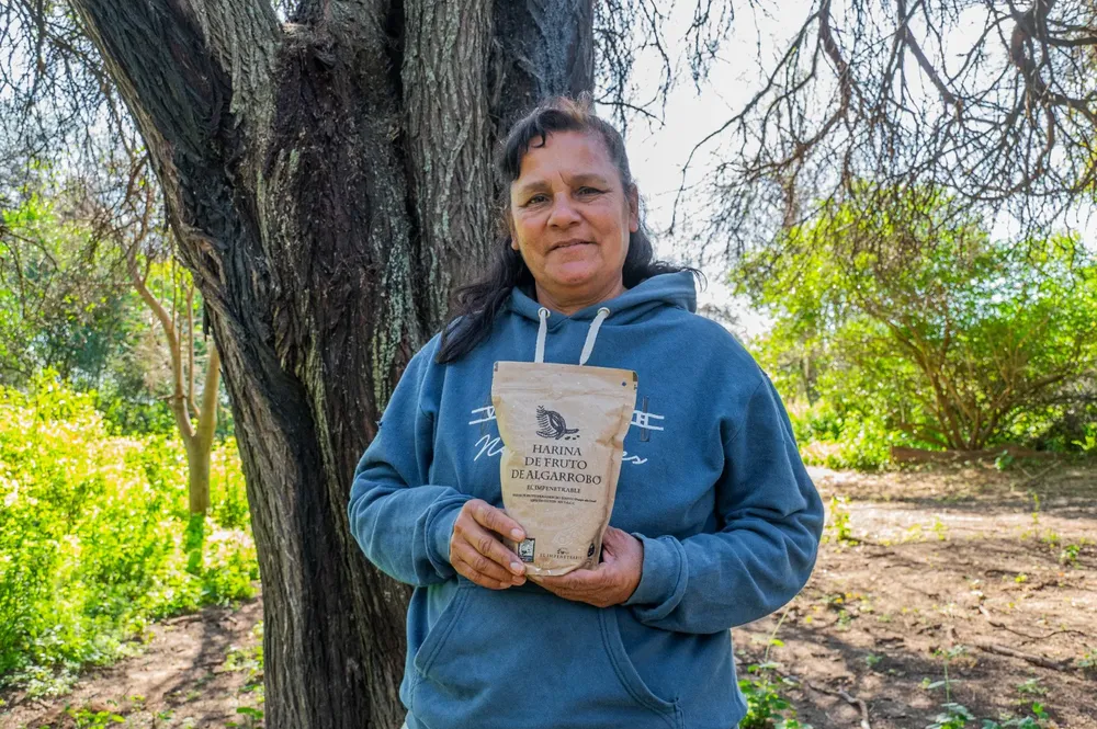 fruto-de-algarrobo-en-El-Impenetrable-01