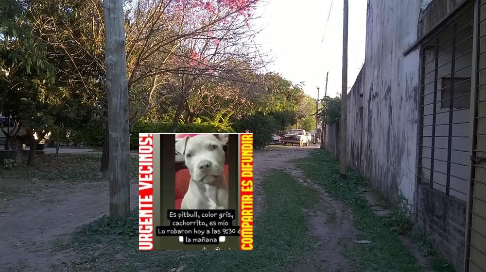 Balto-desaparecido-en-el-barrio-Mujeres-Argentinas-Resistencia